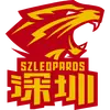 深圳新世纪后备队