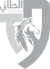 塔伊